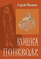 Сергей Матвеев - Кошка поневоле