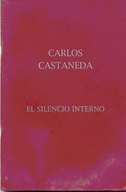 Carlos Castaneda El Silencio Interno обложка книги