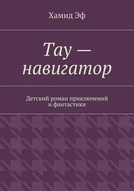 Хамид Эф Тау – навигатор. Детский роман приключений и фантастики обложка книги