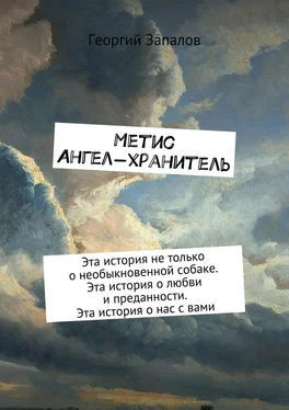 Георгий Запалов Метис. Ангел-хранитель. Эта история не только о необыкновенной собаке. Эта история о любви и преданности. Эта история о нас с вами обложка книги