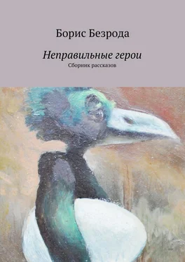 Борис Безрода Неправильные герои. Сборник рассказов обложка книги