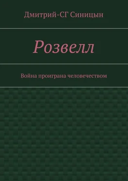 Дмитрий-СГ Синицын Розвелл. Война проиграна человечеством обложка книги