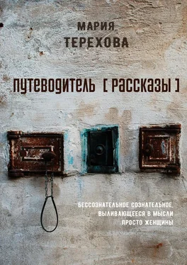 Мария Терехова Путеводитель [рассказы]. бессознательное сознательное, выливающееся в мысли просто женщины обложка книги