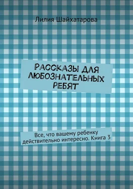 Лилия Шайхатарова Рассказы для любознательных ребят. Все, что вашему ребенку действительно интересно. Книга 3 обложка книги