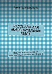Лилия Шайхатарова - Рассказы для любознательных ребят. Все, что вашему ребенку действительно интересно. Книга 3