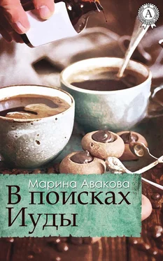 Марина Авакова В поисках Иуды обложка книги