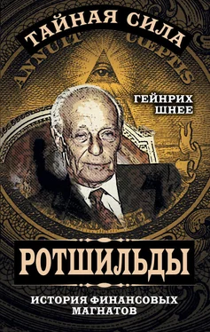 Генрих Шнее Ротшильды – история крупнейших финансовых магнатов обложка книги