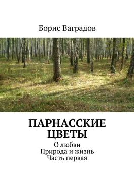 Борис Ваградов Парнасские цветы. О любви. Природа и жизнь. Часть первая обложка книги