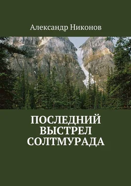 Александр Никонов Последний выстрел Солтмурада обложка книги