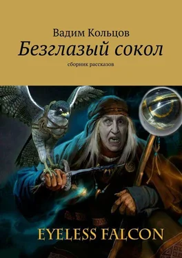 Вадим Кольцов Безглазый сокол. сборник рассказов обложка книги