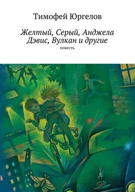 Тимофей Юргелов Желтый, Серый, Анджела Дэвис, Вулкан и другие. повесть обложка книги