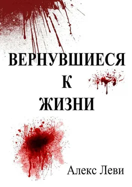 Алекс Леви Вернувшиеся к жизни обложка книги