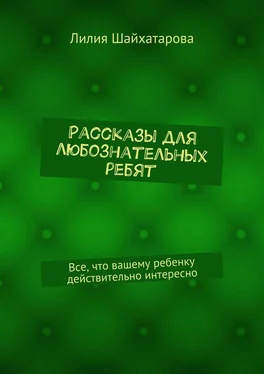 Лилия Шайхатарова Рассказы для любознатель­ных ребят. Все, что вашему ребенку действительно интересно обложка книги