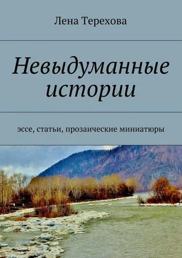 Лена Терехова Невыдуманные истории. эссе, статьи, прозаические миниатюры обложка книги