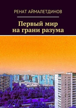 Ренат Аймалетдинов Первый мир на грани разума обложка книги