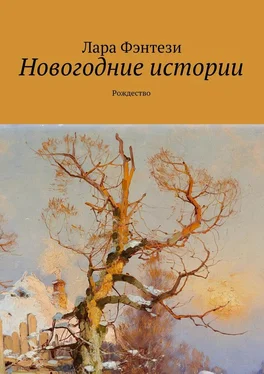 Лара Фэнтези Новогодние истории. Рождество обложка книги