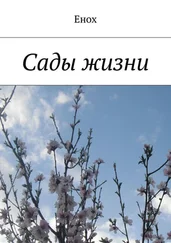 Енох Енох - Сады жизни. Издание второе