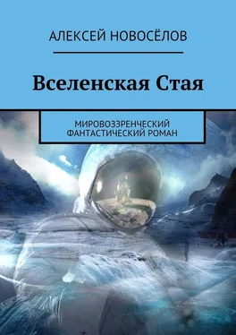 Алексей Новосёлов Вселенская Стая. Мировоззренческий фантастический роман обложка книги