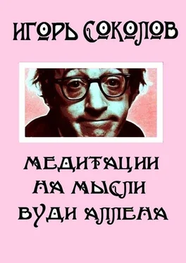 Игорь Соколов Медитации на мысли Вуди Аллена. Стихи обложка книги