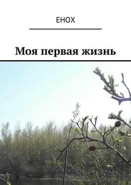 Енох Енох Моя первая жизнь обложка книги