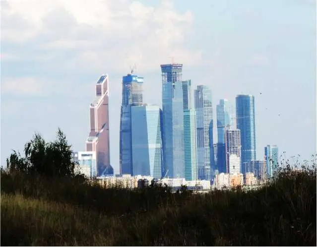 Через десять лет Славка приехал в Москву и зашел к Оле в гости Много - фото 1