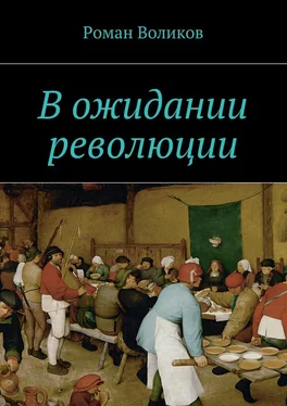 Роман Воликов В ожидании революции обложка книги