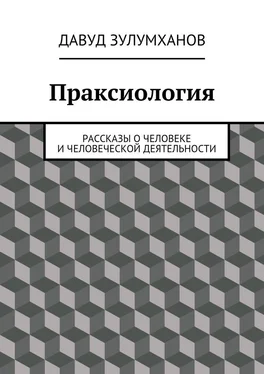 Давуд Зулумханов Праксиология. Рассказы о человеке и человеческой деятельности обложка книги