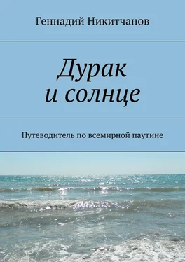 Геннадий Никитчанов Дурак и солнце. Путеводитель по всемирной паутине обложка книги