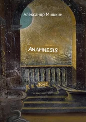Александр Мишкин - Anamnesis. Том 1