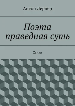 Антон Лернер Поэта праведная суть. Стихи обложка книги