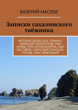 Валерий Маслов Записки сахалинского таёжника. Фоторассказы 2016. Тонино-Анивский полуостров. Мыс Анива, гора Крузенштерна, мыс Евстафия, озеро Баргузинское, Птичье, мыс Свободный обложка книги