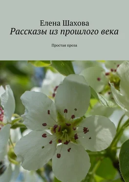 Елена Шахова Рассказы из прошлого века. Простая проза обложка книги