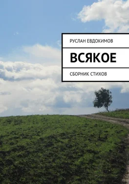 Руслан Евдокимов Всякое. Сборник стихов обложка книги