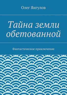 Олег Янгулов Тайна земли обетованной. Фантастическое приключение обложка книги