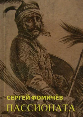 Сергей Фомичёв Пассионата. по мотивам хуйгурского эпоса «Олох Гили» обложка книги