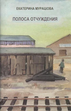 Екатерина Мурашова Полоса отчуждения обложка книги