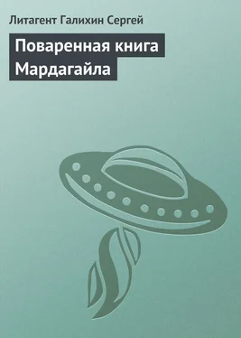 Сергей Галихин Поваренная книга Мардагайла обложка книги