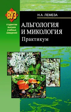 Николай Лемеза Альгология и микология. Практикум обложка книги