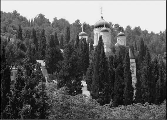 Склон горы с Горненским монастырем Уже в 1881 г на живописном склоне был - фото 10