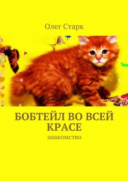 Олег Старк Бобтейл во всей красе. знакомство обложка книги