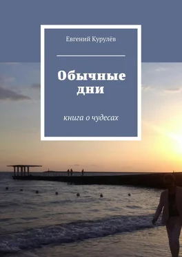 Евгений Курулёв Обычные дни. книга о чудесах обложка книги