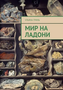 Ульяна Гринь Мир на ладони обложка книги