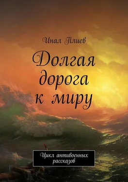 Инал Плиев Долгая дорога к миру. Цикл антивоенных рассказов обложка книги