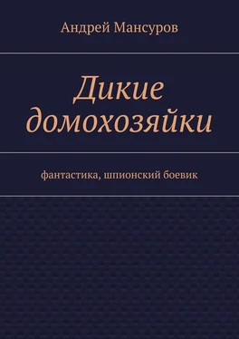 Андрей Мансуров Дикие домохозяйки. фантастика, шпионский боевик обложка книги