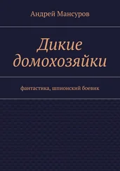 Андрей Мансуров - Дикие домохозяйки. фантастика, шпионский боевик