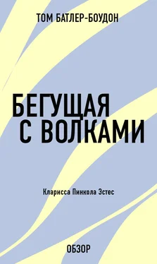 Том Батлер-Боудон Бегущая с волками. Кларисса Пинкола Эстес (обзор) обложка книги