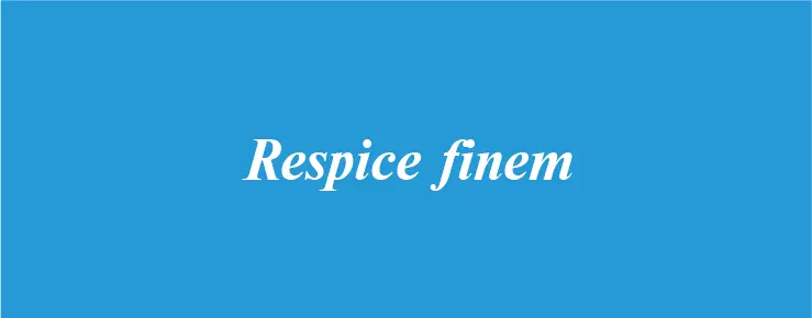 Еда там есть всегда и ее хватает на то чтобы поддерживать плотность - фото 27