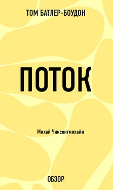 Том Батлер-Боудон Поток. Михай Чиксентмихайи (обзор) обложка книги