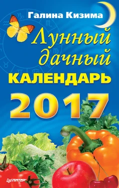 Галина Кизима Лунный дачный календарь на 2017 год обложка книги