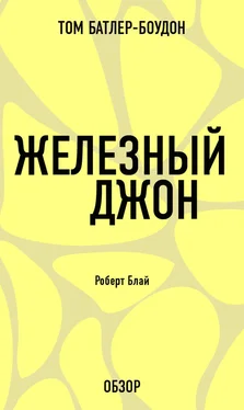 Том Батлер-Боудон Железный Джон. Роберт Блай (обзор) обложка книги